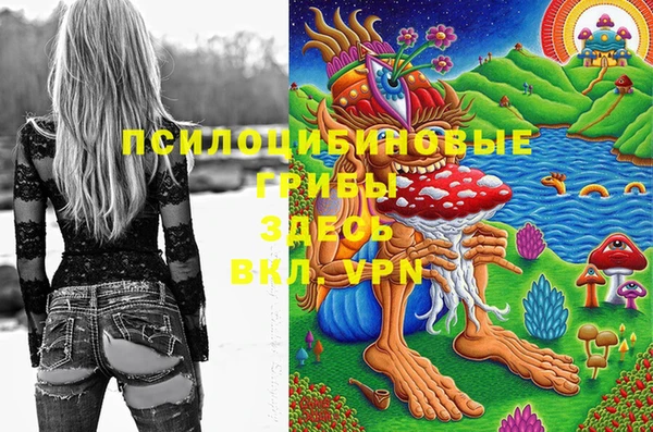 ПСИЛОЦИБИНОВЫЕ ГРИБЫ Беломорск
