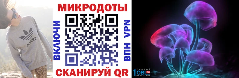 Псилоцибиновые грибы Psilocybine cubensis  Белово 