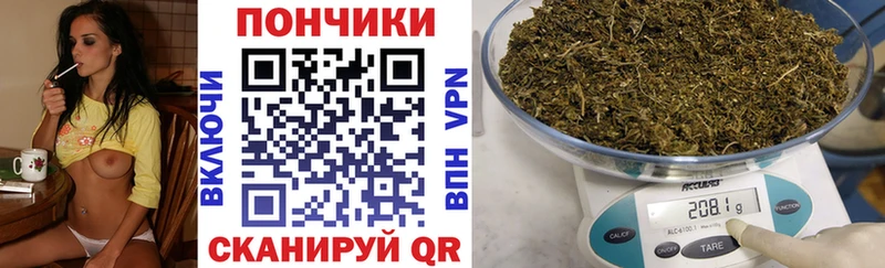 наркотики  Белово  МАРИХУАНА план 